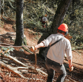 Travailleur dans la foret