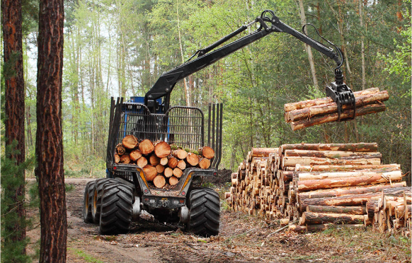 Engin qui transporte du bois